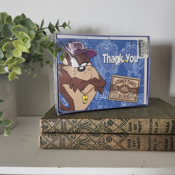New Vintage 1996 Looney Toons "Taz" Tasmanian Devil Birthday Thank You Cards - Picture 1 of 4